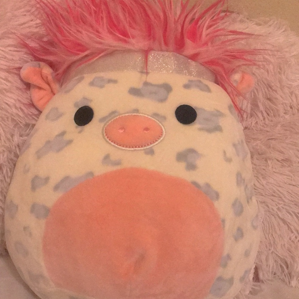 Rosie the Squish Doos squishmallow 8in